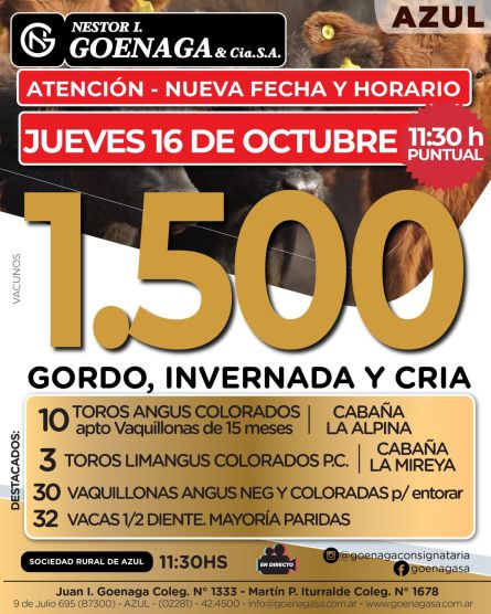 Nestor I Goenaga - Azul - Jueves 16 de Octubre