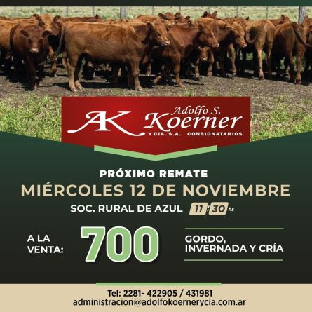 Adolfo S Koerner - Azul - Miercoles 12 de Noviembre