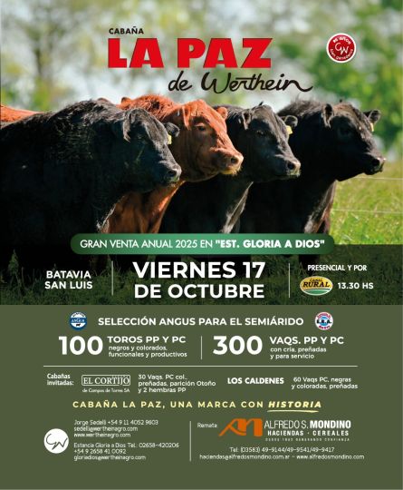 La Paz de Werthein - San Luis - Viernes 17 de Octubre