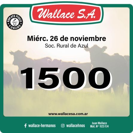 Wallace SA - Azul - Miercoles 26 de Noviembre