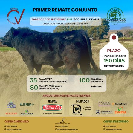 Conjunto - Azul - Sabado 27 de Septiembre