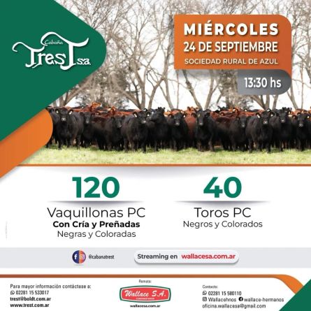 Tres T  - Azul - Miercoles 24 de Septiembre