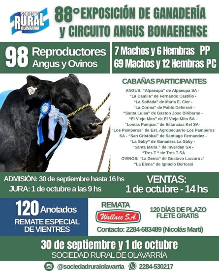 Wallace - Olavarria - Miercoles 01 de Octubre