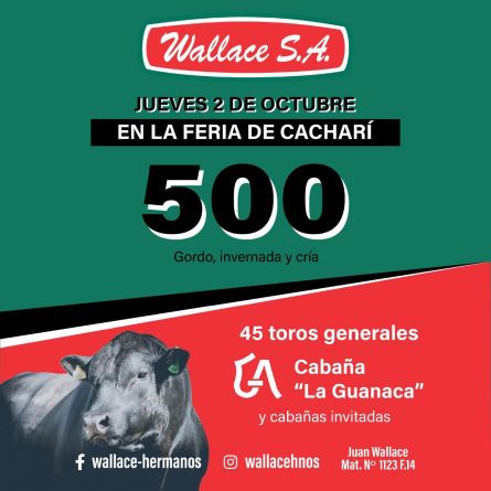 Wallace - Cachari - Jueves 02 de Octubre