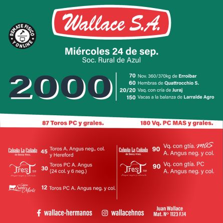 Wallace sa - Azul - Miercoles 24 de Septiembre