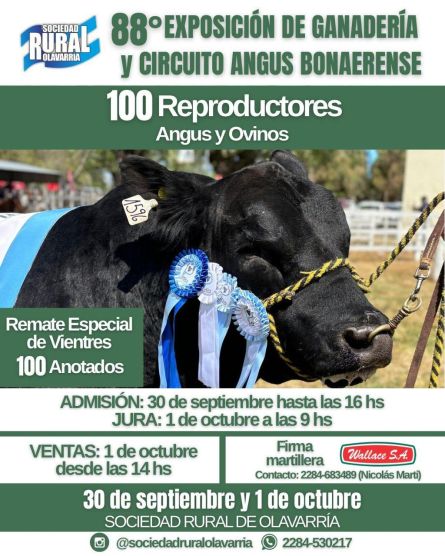 Wallace SA - Olavarria - Martes 30 de Septiembre