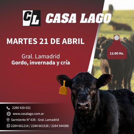 Casa Lago - Gral Lamadrid - Martes 21 de Abril