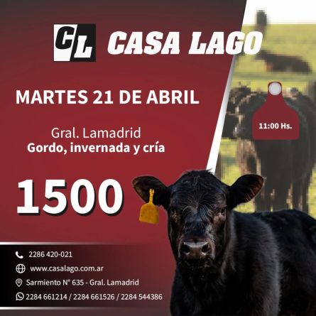Casa Lago - Gral Lamadrid - Martes 21 de Abril