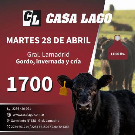 Casa Lago - Gral Lamadrid - Martes 21 de Abril