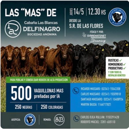 Delfinagro - Las Flores - Jueves 14 de Mayo