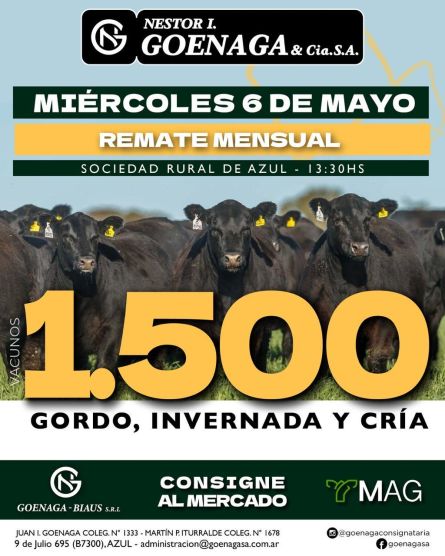 Nestor I Goenaga - Azul - Miercoles 06 de Mayo