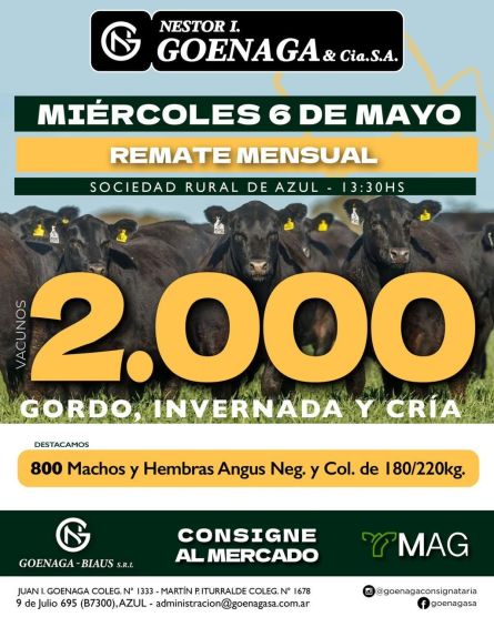 Nestor I Goenaga - Azul - Miercoles 06 de Mayo