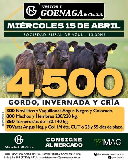 Martin y Alonso - Azul - Martes 31 de Marzo