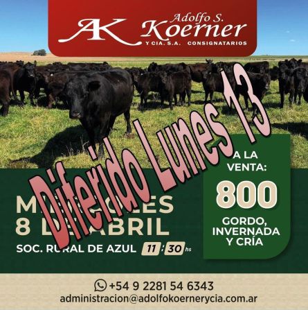 Adolfo S Koerner - Azul - Miercoles 08 de Abril