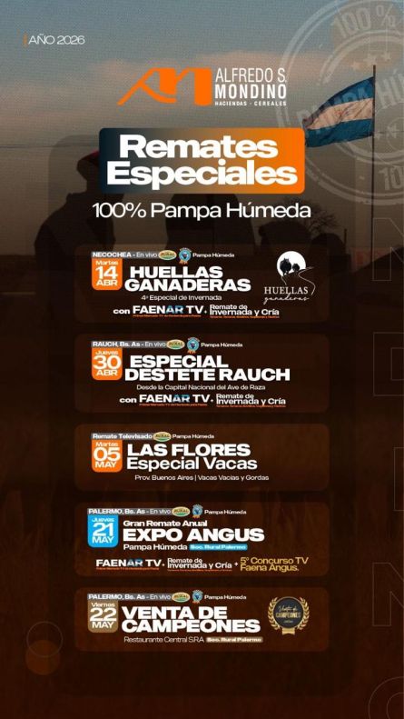 Alfredo S Mondino -  - 