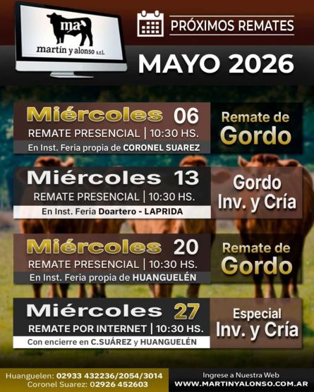 Martin y Alonso -  - 