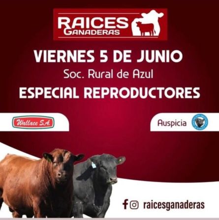 Raices Ganaderas - Azul - Viernes 05 de JUnio