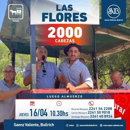 Saenz Valiente Bullrich - Las Flores - Jueves 16 de Abril
