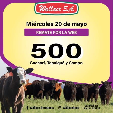 Wallace - Internet - Miercoles 20 de Mayo