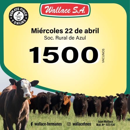 Wallace - Azul - Miercoles 22 de Abril