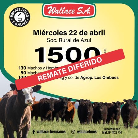 Wallace - Azul - Miercoles 22 de Abril