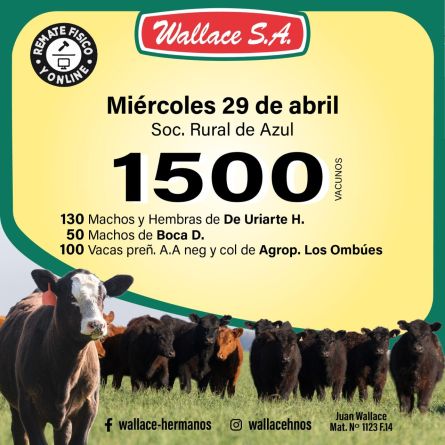 Wallace - Azul - Miercoles 22 de Abril