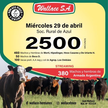 Wallace - Azul - Miercoles 29 de Abril