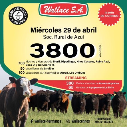 Wallace - Azul - Miercoles 29 de Abril