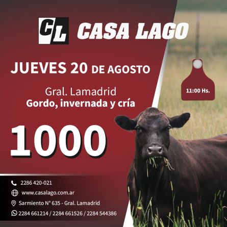 Casa Lago - La Madrid - Jueves 20 de Agosto