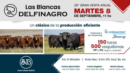 Delfinagro - Azul - Martes 08 de Septiembre