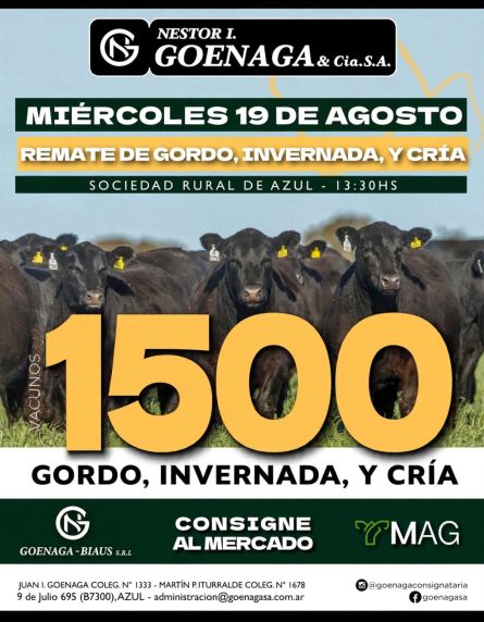 Nestor I Goenaga - Azul - Miercoles 19 de Agosto