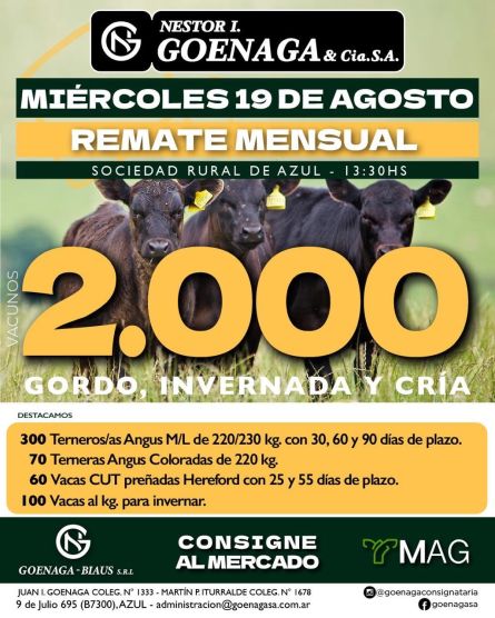 Nestor I Goenaga - Azul - Miercoles 19 de Agosto