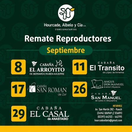 Hourcade ALbelo y Cia -  - 