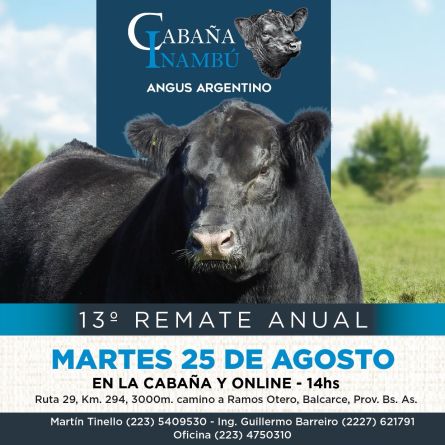 Cabaña Inambu - Balcarce - Martes 25 de Agosto
