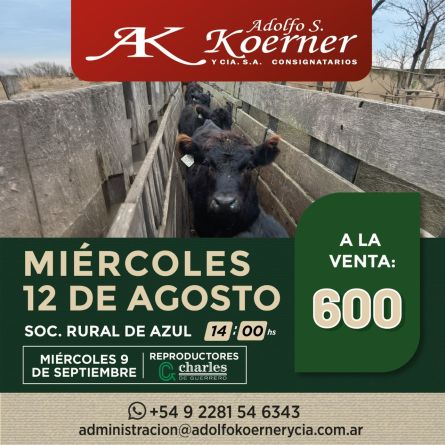 Adolfo S Koerner - Azul - Miercoles 12 de Agosto