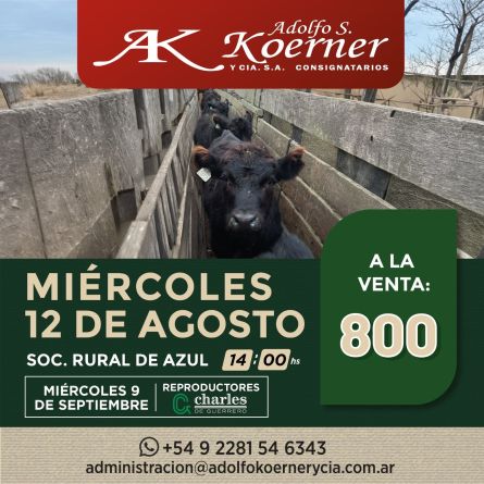 Adolfo S Koerner - Azul - Miercoles 12 de Agosto