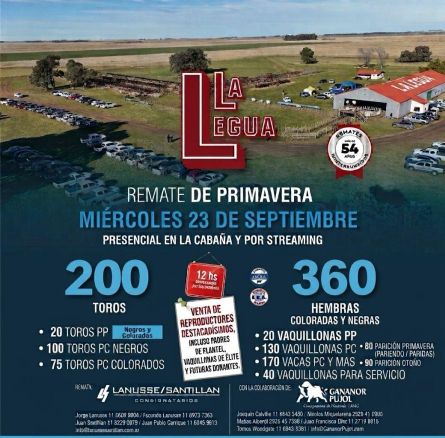 La Legua -   - Miercoles 16 de Septiembre