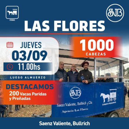 Saenz Valiente Bullrich - Las Flores - JUeves 03 de Septiembre