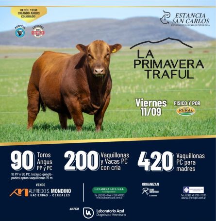 Primavera Traful - Azul - Viernes 11 de Septiembre