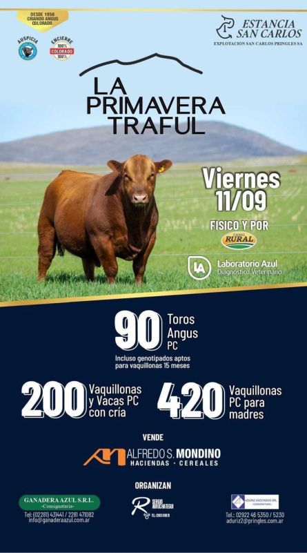 Primavera Traful - Azul - Viernes 11 de Septiembre