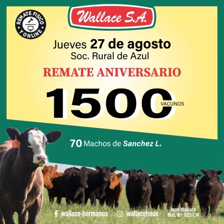 Wallace Sa - Azul - Jueves 27 de Agosto
