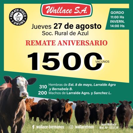 Wallace Sa - Azul - Jueves 27 de Agosto