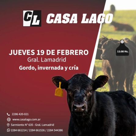 Casa Lago - Gral Lamadrid - Jueves 19 de Febrero