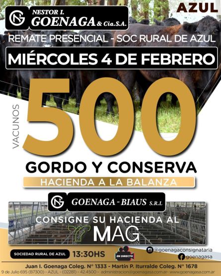 Nestor I Goenaga - Azul - Miercoles 04 de Febrero