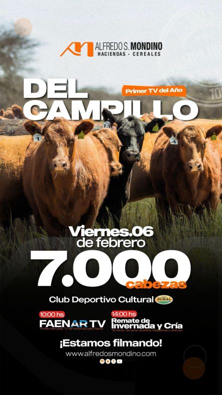 Alfredo S Mondino - Campillo - Viernes 06 de Febrero