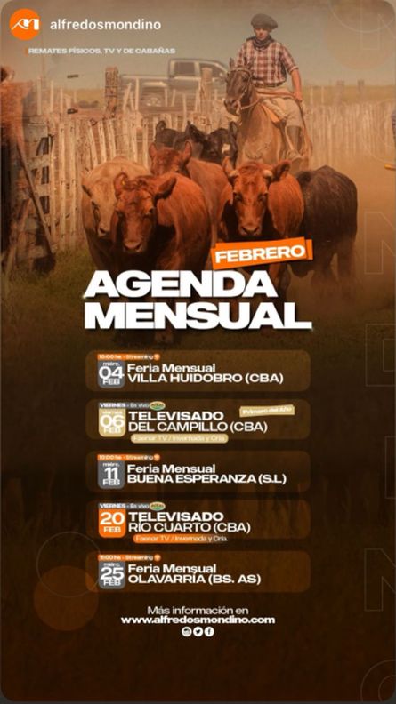 Alfredo S Mondino -  - 