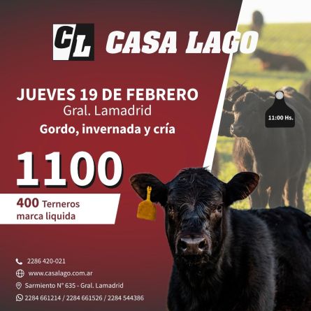 Casa Lago - Gral Lamadrid - Jueves 19 de Febrero