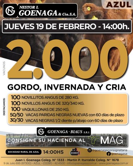 Nestor I Goenaga - Azul - Jueves 19 de Febrero