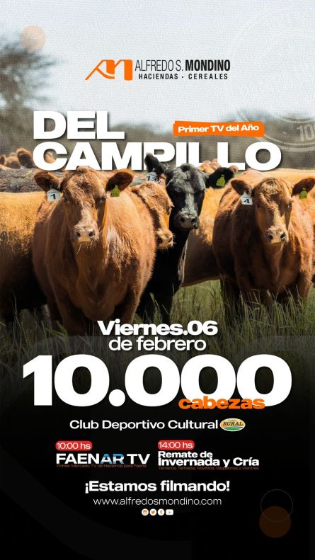 Alfredo S Mondino - Campillo - Viernes 06 de Febrero