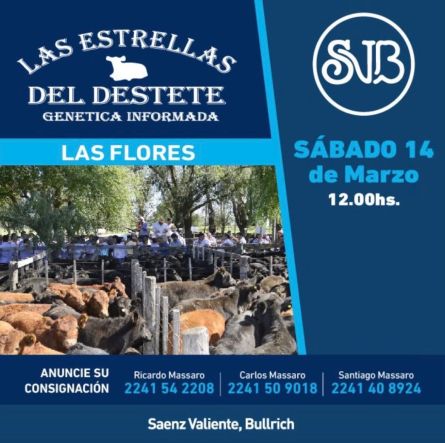 Saenz Valiente Bullrich - Las Flores - Sabado 14 de Marzo